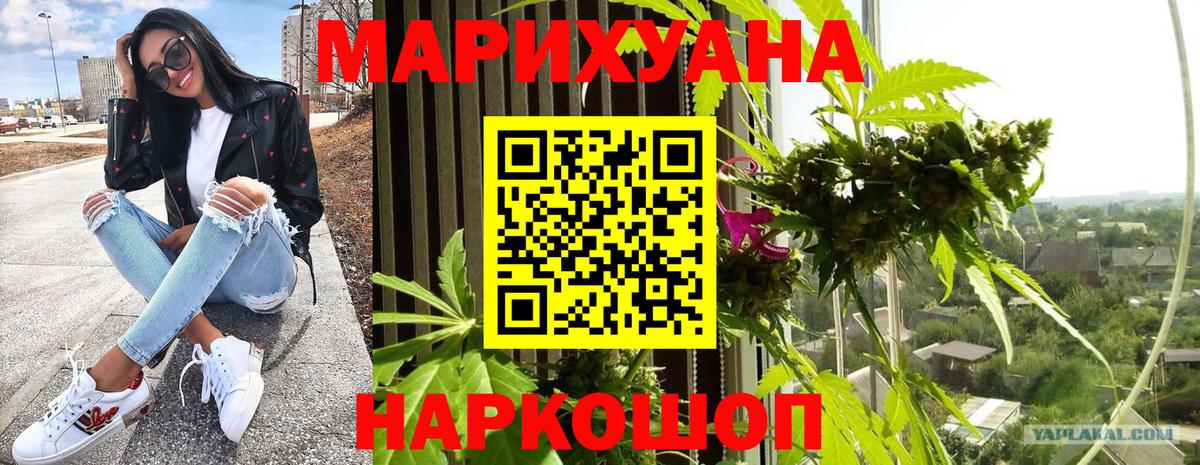 Бошки марихуана план Димитровград